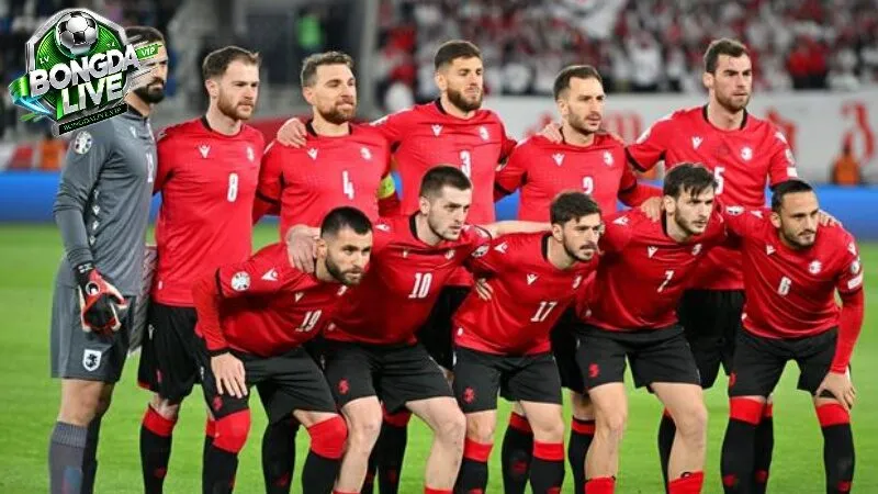 Tin Tức Các Đội Tuyển Quốc Gia Tham Gia World Cup 2022